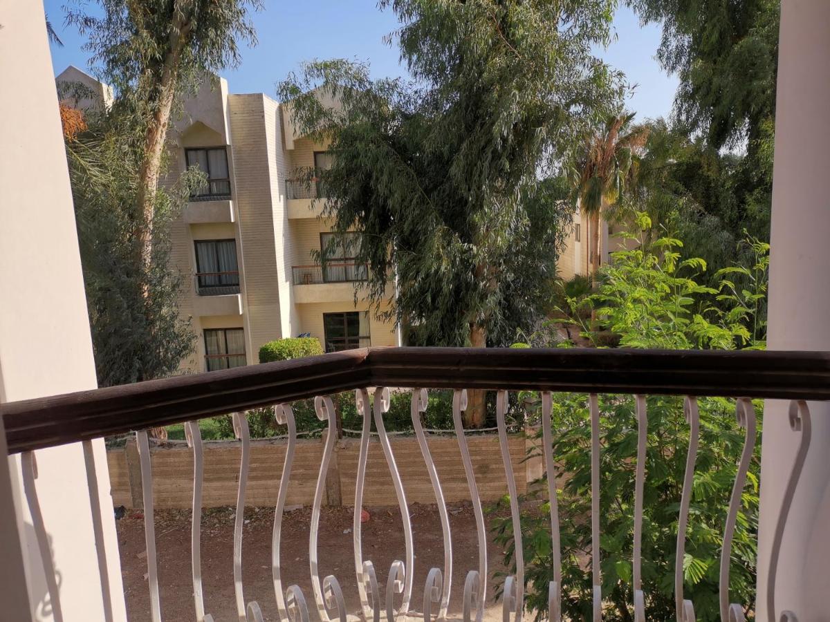 Golden Rose Hotel Hurghada Esterno foto